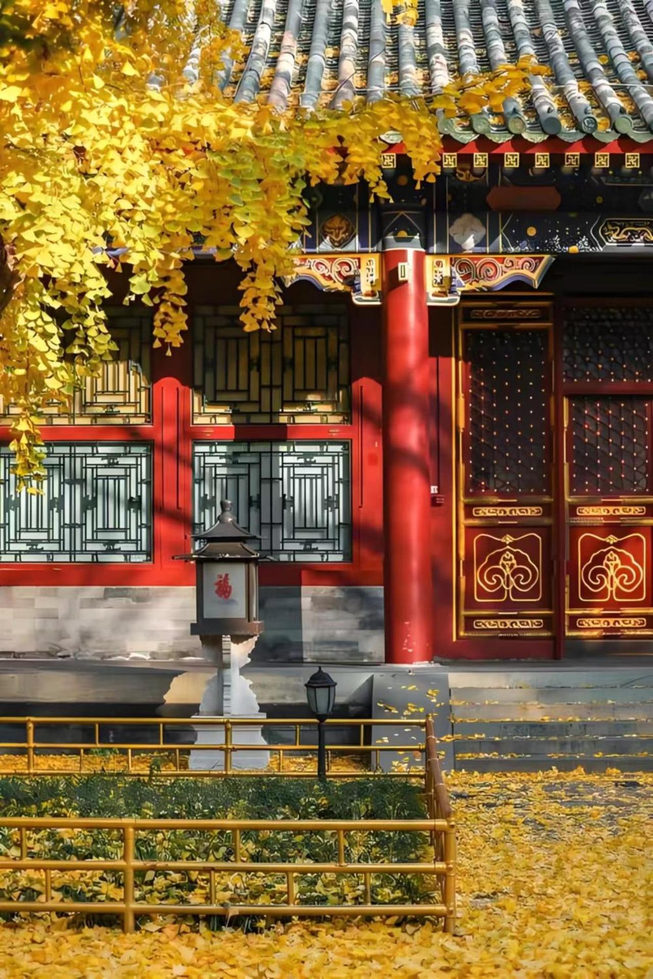Beijing Tangfu Hotel - Located In The City Center Adjacent To The Subway Station Close To Nanluoguxiang Gulou Lama Temple Tiananmen Square Forbidden City Temple Of Heaven Providing Laundry Car Rental And Ticketing Services Εξωτερικό φωτογραφία